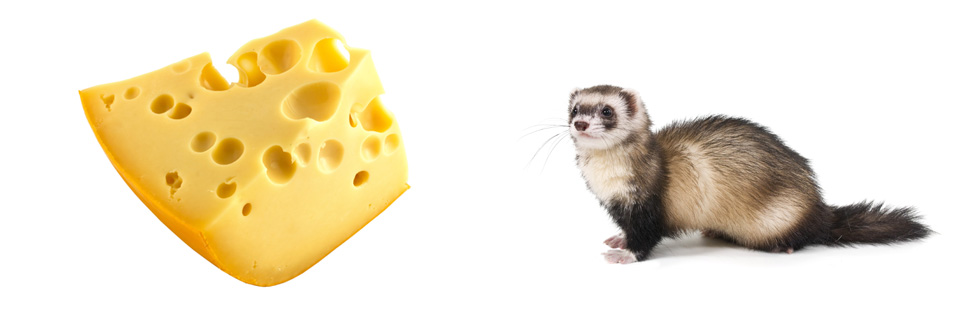 Off-the-Cuff: Cheese Weasel Day is April 3rd!