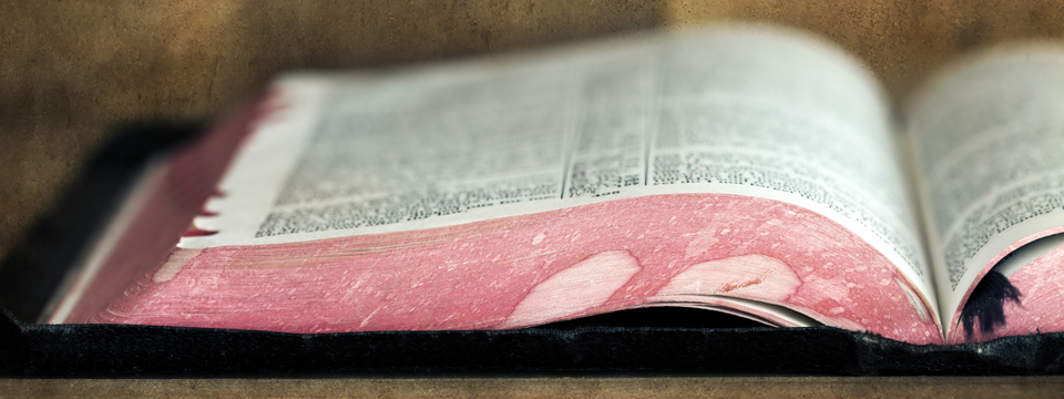 TV Review: The Bible