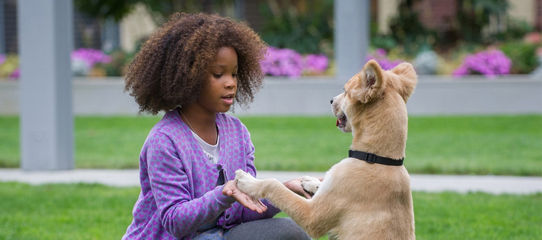 (Belated) Movie Review: Annie