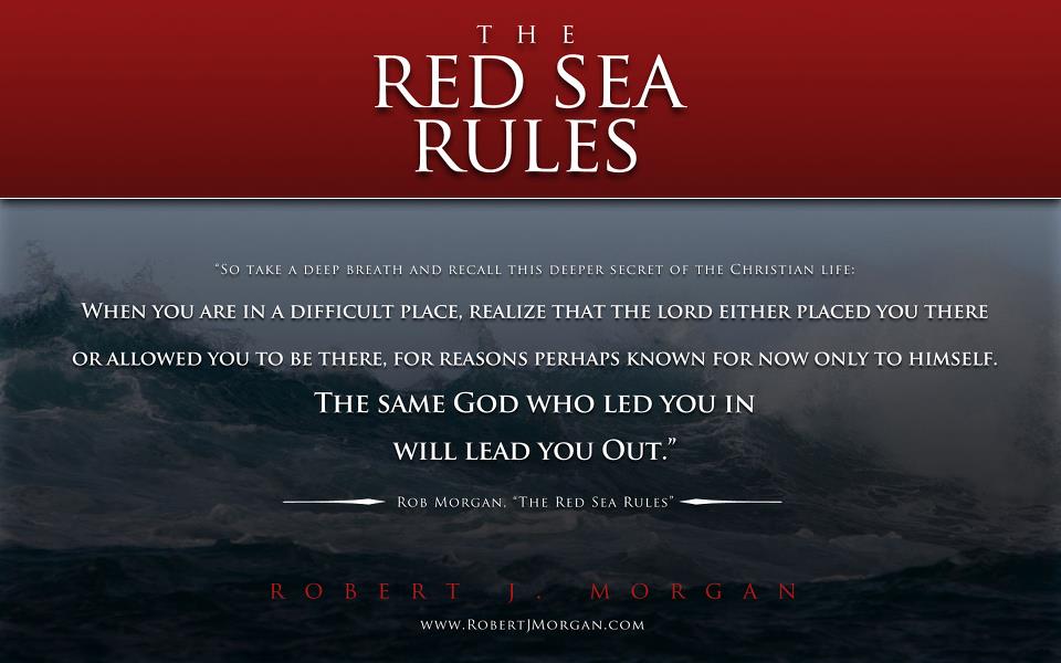 Book Review Red Sea Rules