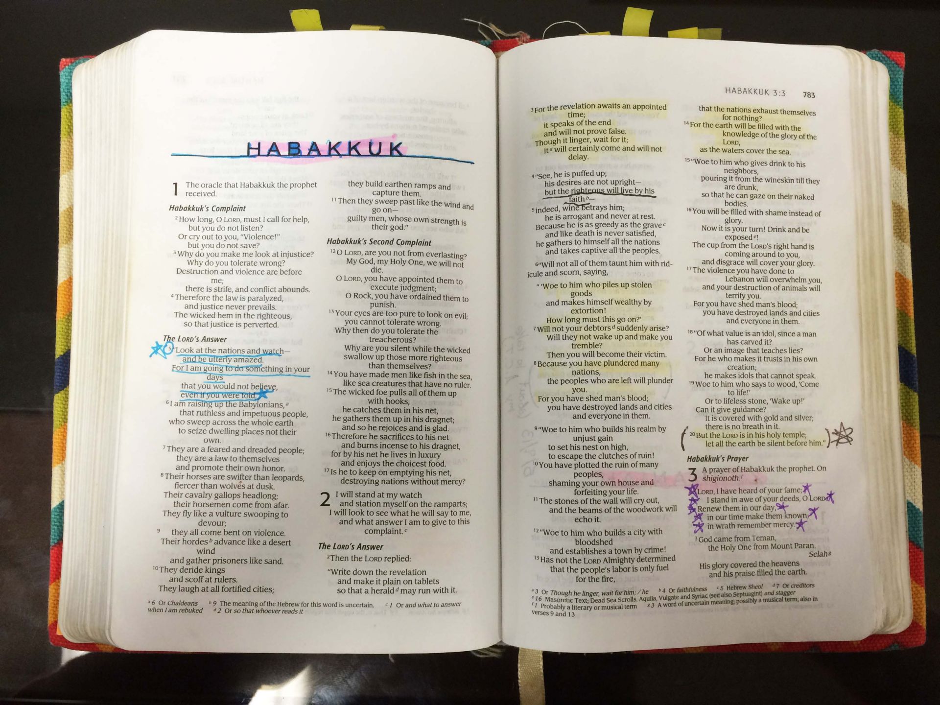 Hannah’s Complaint | The Lord’s Answer