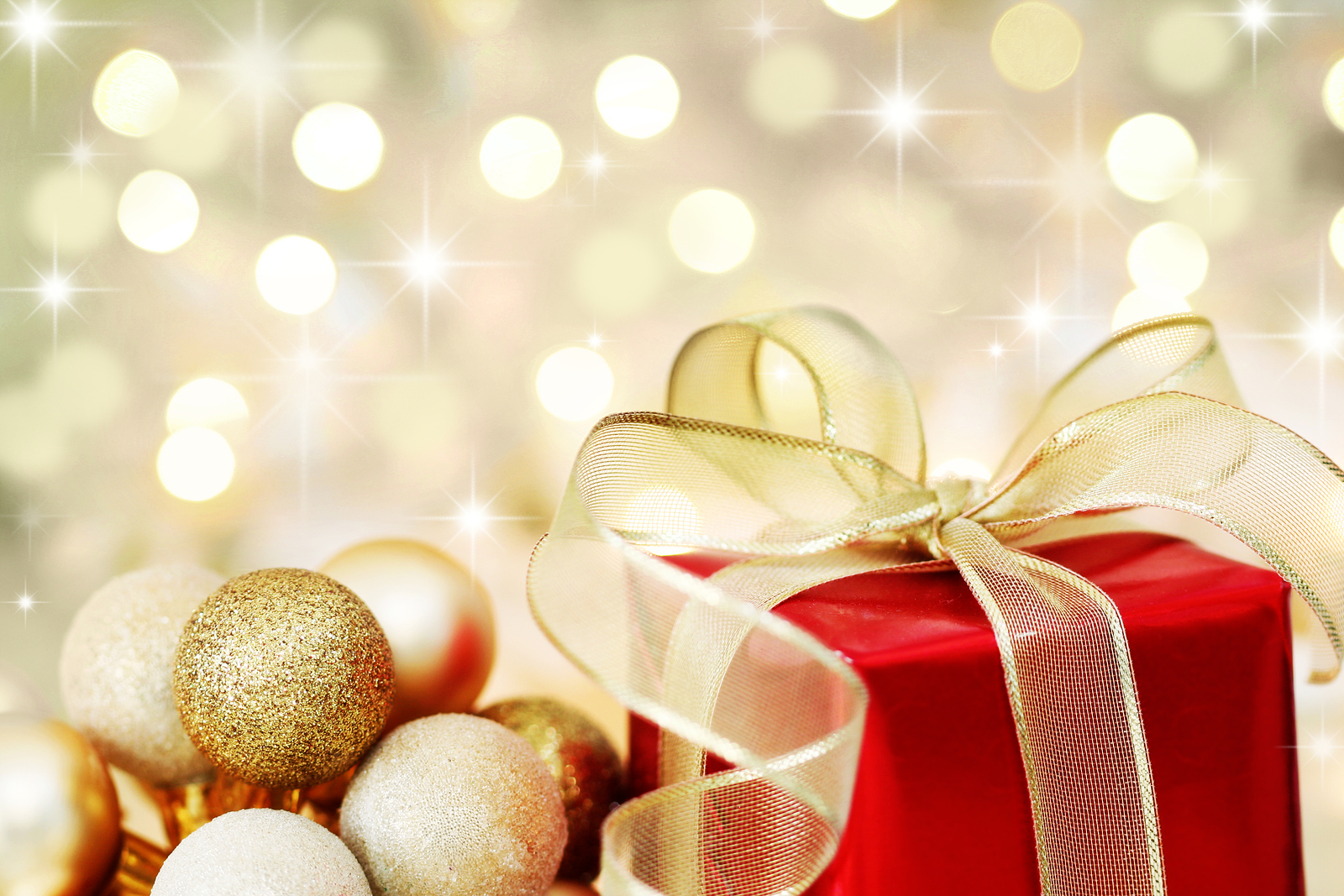 Tis the season: The secret to surviving Christmas