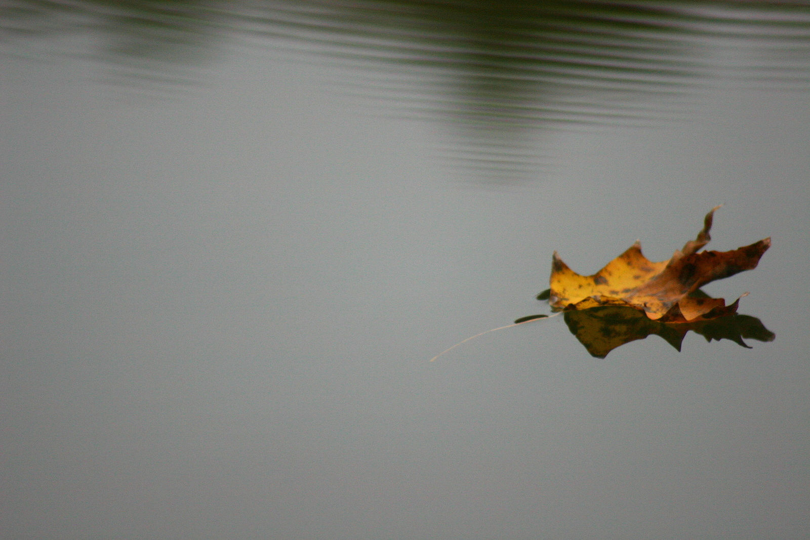 Still water moments