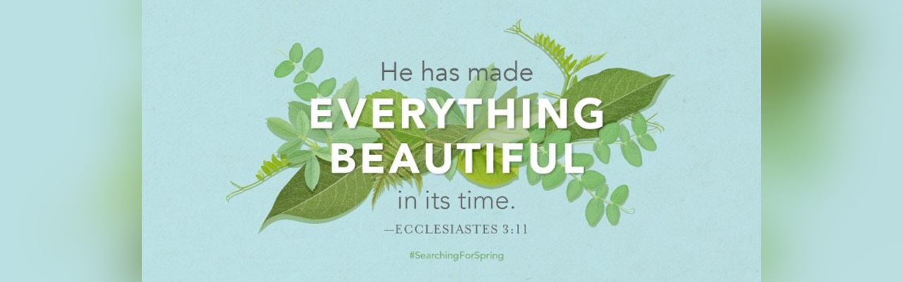 Book Review: Christine Hoover’s ‘Searching for Spring: How God Makes All Things Beautiful in Time’