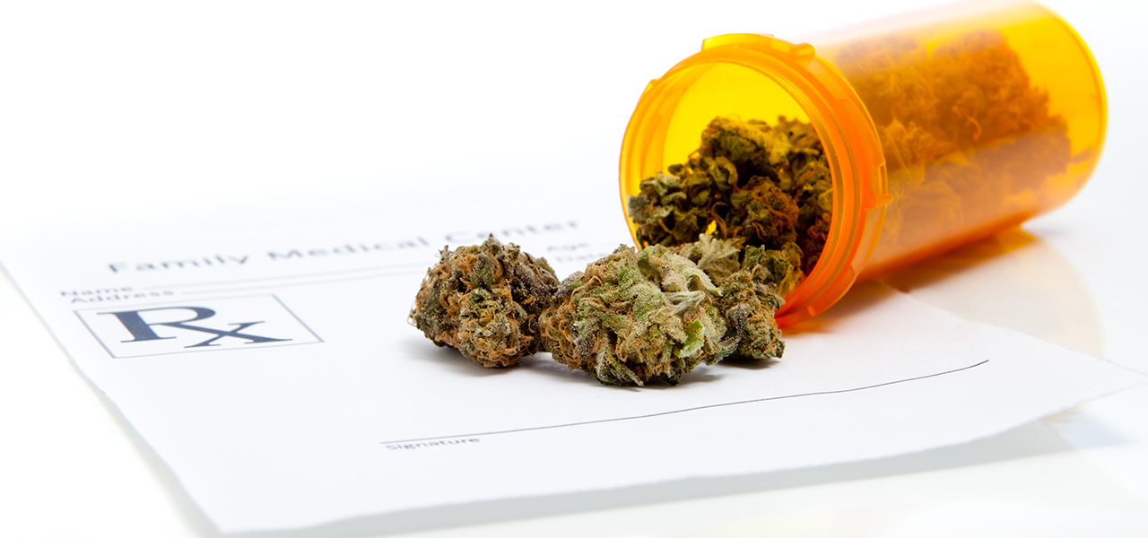 On The Legalization of Medical Marijuana