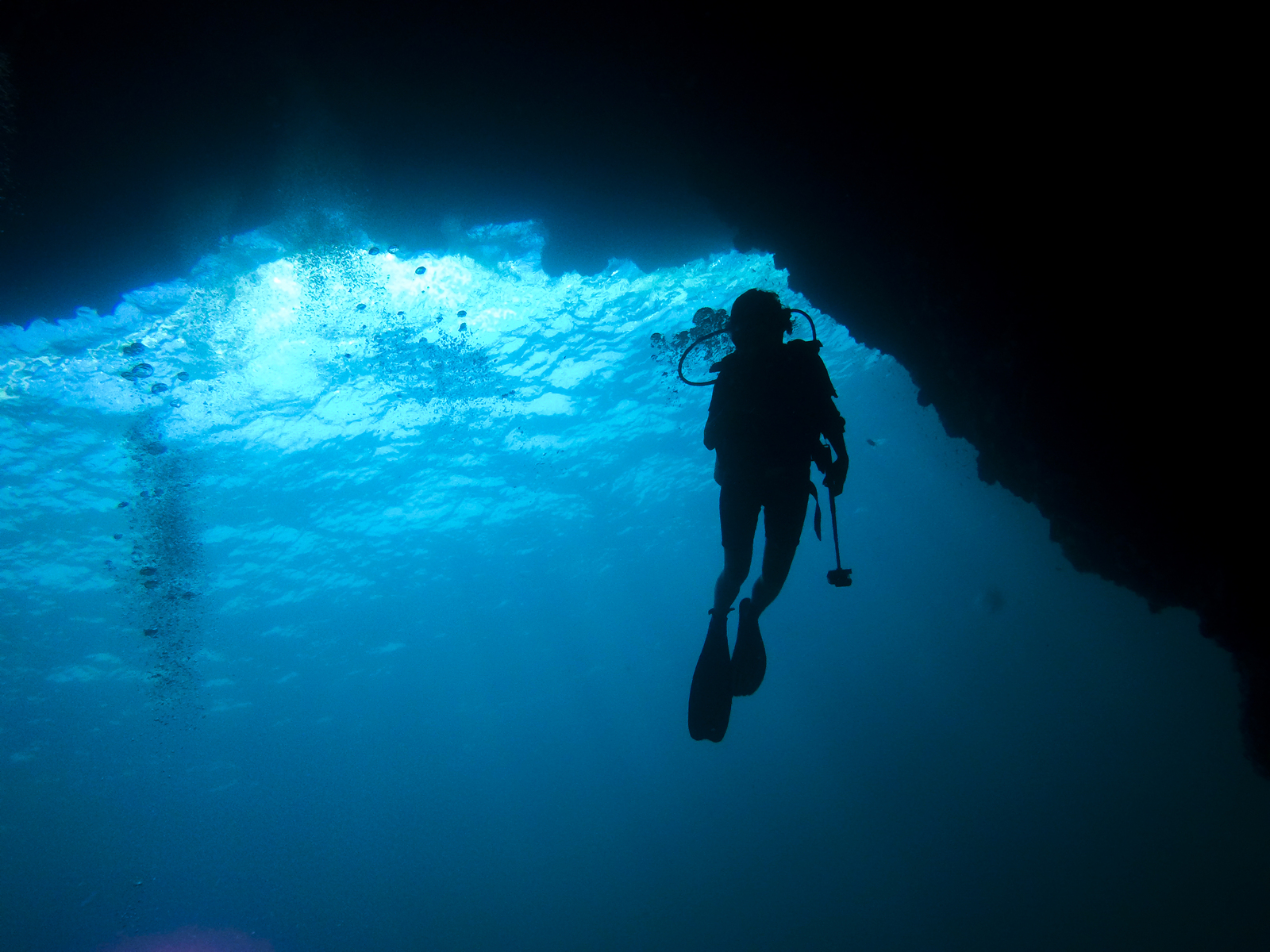 Life Matters: From the Womb to a Cave in Thailand