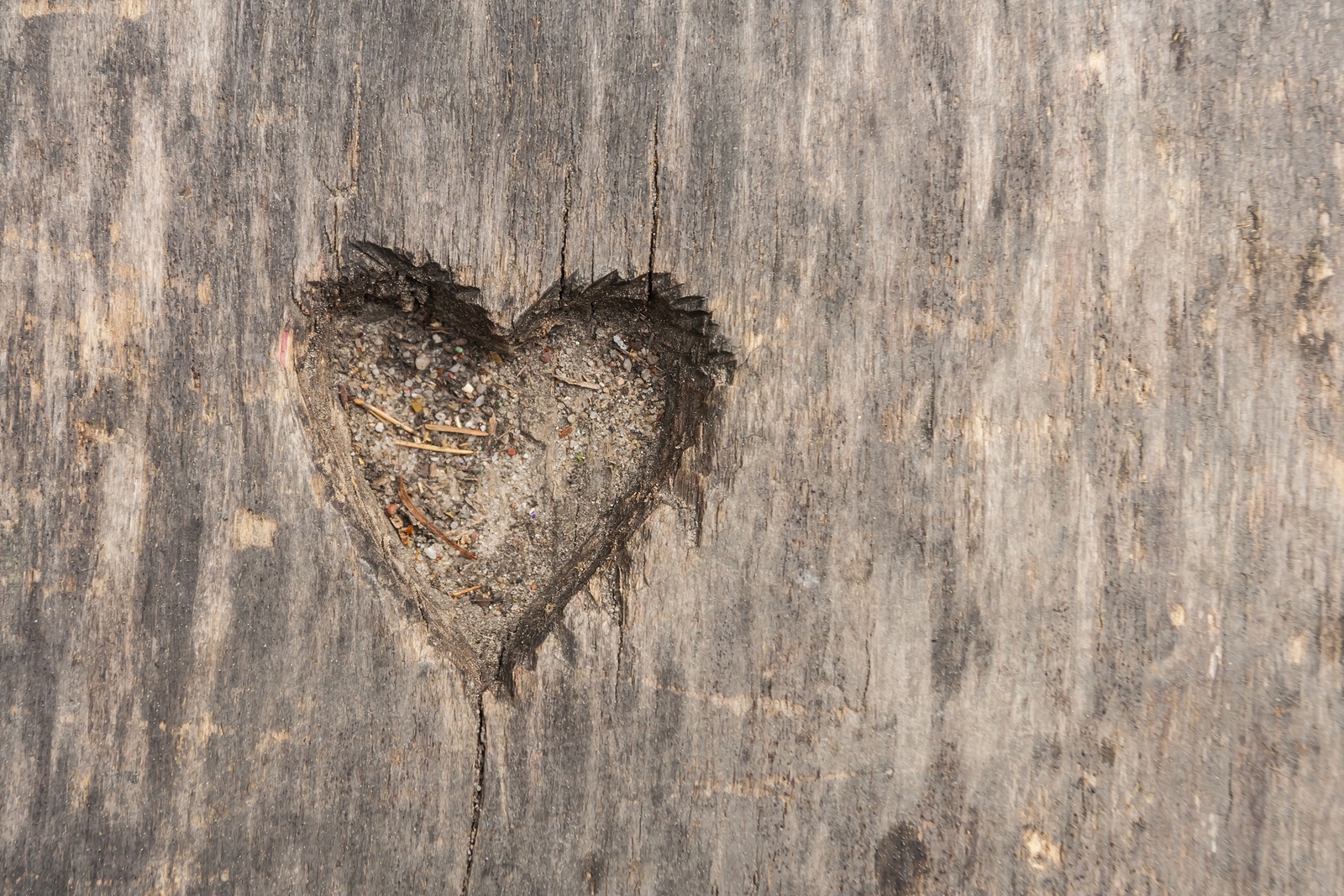 From the Heart: Loving That Person I Still Don’t Like